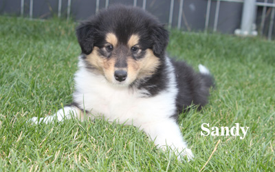 Sandy - 5./6. Woche